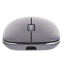 Gray computer mouse on a white background