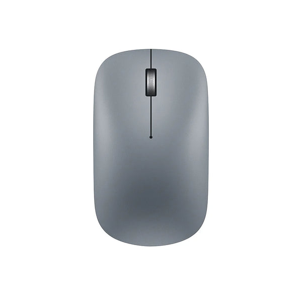 Gray computer mouse on a white background